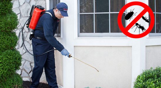 Kuşadası Böcek ve Haşere İlaçlama böcek ilaçlama ve haşere kontrolü — ilaclama-tr.com